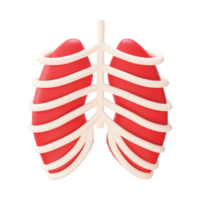 rosso polmoni con costola gabbia elemento nel 3d stile. png