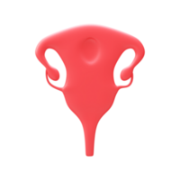 3D Render Of Ovary Element In Red Color. png