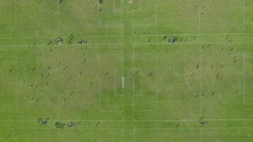 Football Matches at Hackney Marshes in London video