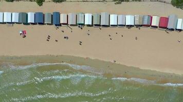 Bird's Eye View of the Dendy Street Beach Huts in Brighton Melbourne video