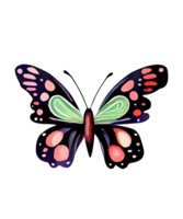 Groovy Butterflies Watercolor png