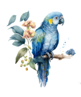 Cute Blue Parrot Watercolor Sublimation png