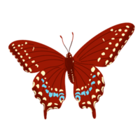 hand drawn butterfly illustration png