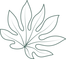 Line art leaf png