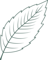 Line art leaf png