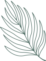 Line art leaf png