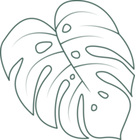 Line art leaf png