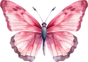 borboleta aguarela ilustração. ai gerado png