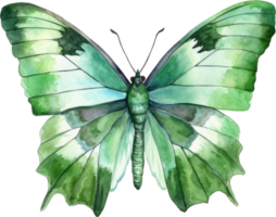 Butterfly Watercolor Illustration. AI Generated png