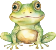 Cute Frog Watercolor Illustration. png