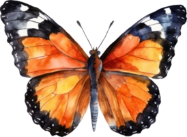 Butterfly Watercolor Illustration. png