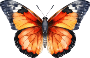 mariposa acuarela ilustración. ai generado png