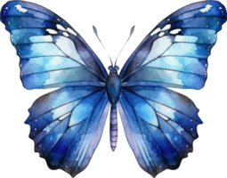 Butterfly Watercolor Illustration. png