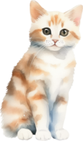 Cute Kitty Cat Watercolor. AI Generated png