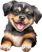 Cute Puppy Dog Watercolor. png