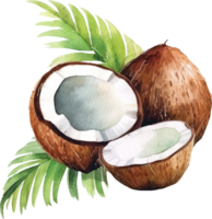 kokos frukt vattenfärg. ai genererad png