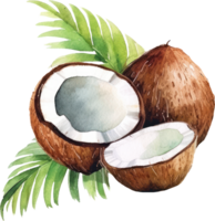 Noce di cocco frutta acquerello. ai generato png