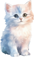 Cute Kitty Cat Watercolor. png