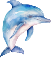 süß Delfin Aquarell Illustration. ai generiert png