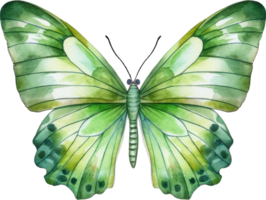 borboleta aguarela ilustração. ai gerado png