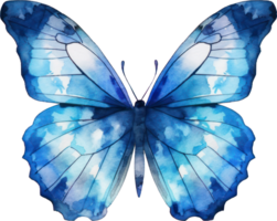 Butterfly Watercolor Illustration. png