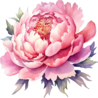 pion rosa blomma vattenfärg illustration. ai genererad png