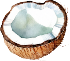 Noce di cocco frutta acquerello. ai generato png