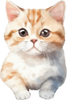 carino gattino gatto acquerello. ai generato png