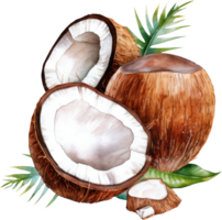 Kokosnuss Obst Aquarell. ai generiert png