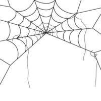 araña web fondos de pantalla telaraña antecedentes. ilustración de un web. vector araña web en blanco. araña web elementos para decoración. telaraña.