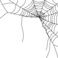 araña web fondos de pantalla telaraña antecedentes. ilustración de un web. vector araña web en blanco. araña web elementos para decoración. telaraña.