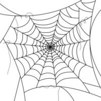 araña web fondos de pantalla telaraña antecedentes. ilustración de un web. vector araña web en blanco. araña web elementos para decoración. telaraña.