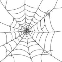 araña web fondos de pantalla telaraña antecedentes. ilustración de un web. vector araña web en blanco. araña web elementos para decoración. telaraña.