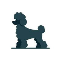 Silhouette of a poodle on white background. vector