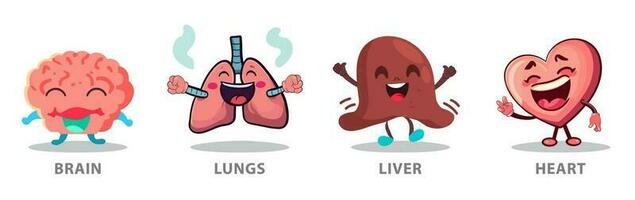 dibujos animados conjunto de contento alegre humano órganos cerebro, pulmones, hígado y corazón. vector