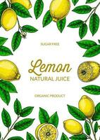 Vertical lemon background. Hand drawn colorful vector illustration in sketch stile. Design for packaging, invitation, greeting cards