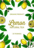 Vertical lemon background. Hand drawn colorful vector illustration in sketch stile. Design for packaging, invitation, greeting cards