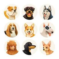 Set of different dog breeds illustration. Dog avatar characters vector