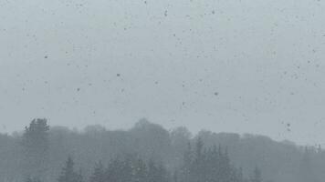 Zeitraffer von schneebedeckt und nebelig Aussicht video