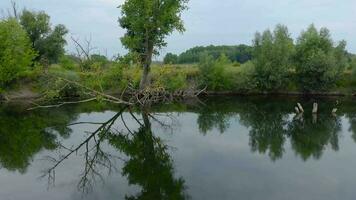 Aerial view of the beautiful landscape - river, meadow and green mixed forest video