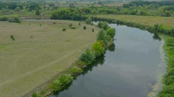 Aerial view of a flock of white and gray ducks floating on a river surrounded by green trees video