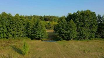 Aerial view of the beautiful landscape - green mixed forest and clear sky video