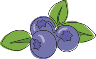 un seul dessin de bleuets biologiques sains entiers pour l'identité du logo du verger. concept de fruitage de baies bleues fraîches pour l'icône de jardin de fruits. ligne continue moderne dessiner illustration vectorielle de conception png