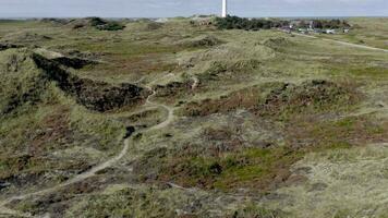 un' faro su il dune di settentrionale Danimarca a lyngvig FYR video