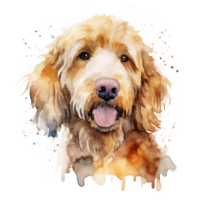 carino acquerello Goldendoodle cane. illustrazione ai generativo png