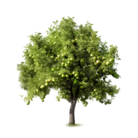 Apfel Baum isoliert. Illustration ai generativ png