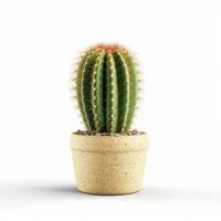 cactus aislado. ilustración ai generativo foto