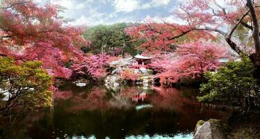 Daigo-ji temple with colorful maple trees in autumn, Kyoto, Japan photo