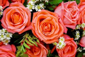 Top view and closeup of wedding pink roses flower bouquet background and wallpaper. photo