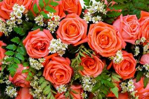 Top view of wedding pink roses flower bouquet background and wallpaper. photo